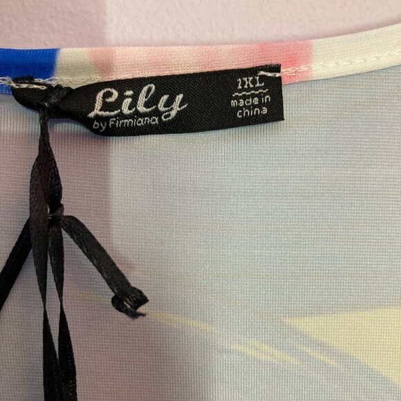 Lily Tunic/Dress, NWT, Size 1X - Picture 3 of 11